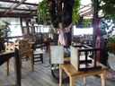 P1020290.JPG